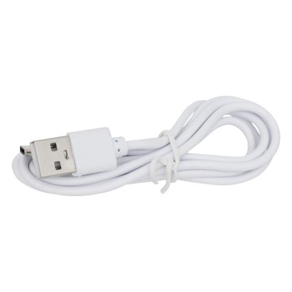Atmosphera - LED šviestuvas, įkraunamas saulės energija KESY LED/1,2V 2200 mAh IP44
