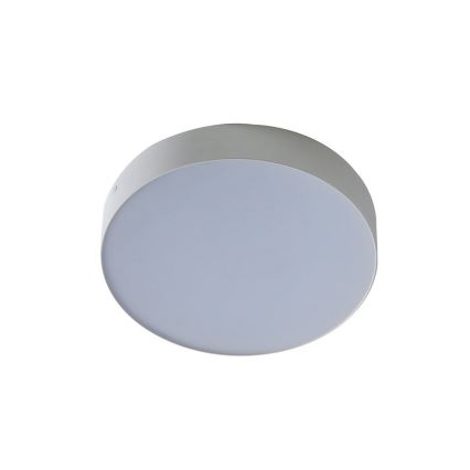 Azzardo AZ2261 - LED lubinis šviestuvas MONZA 1xLED/20W/230V