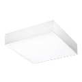Azzardo AZ2268 - LED lubinis šviestuvas MONZA SQUARE LED/20W/230V