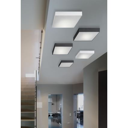 Azzardo AZ2271 - LED lubinis šviestuvas MONZA SQUARE 1xLED/20W/230V