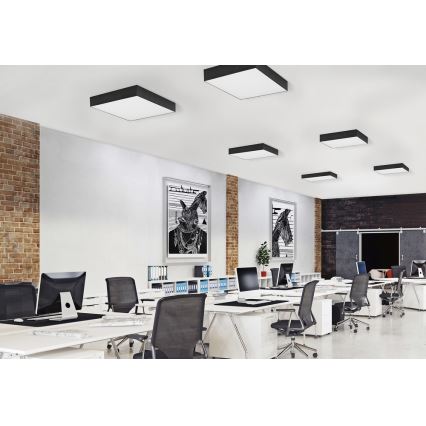 Azzardo AZ2274 - LED lubinis šviestuvas MONZA SQUARE LED/50W/230V