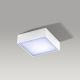 Azzardo AZ2781 - LED lubinis šviestuvas FALCO LED/12W/230V