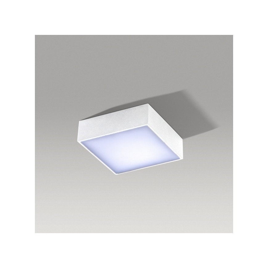 Azzardo AZ2781 - LED lubinis šviestuvas FALCO LED/12W/230V