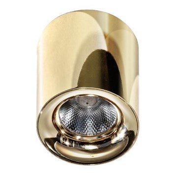 Azzardo AZ2846 - LED lubinis šviestuvas MANE LED/10W/230V