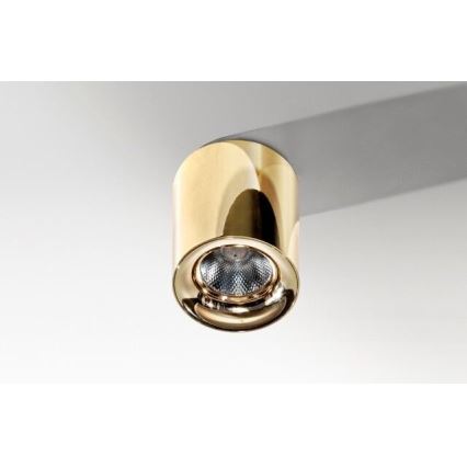 Azzardo AZ2846 - LED lubinis šviestuvas MANE LED/10W/230V