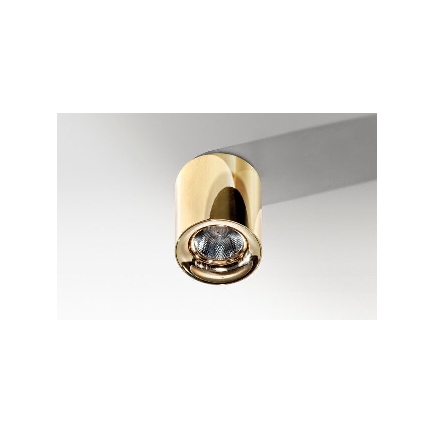 Azzardo AZ2846 - LED lubinis šviestuvas MANE LED/10W/230V