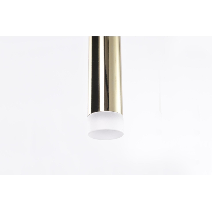 Azzardo AZ3156 - LED sietynas, kabinamas ant virvės LOUISE LED/3W/230V auksinis