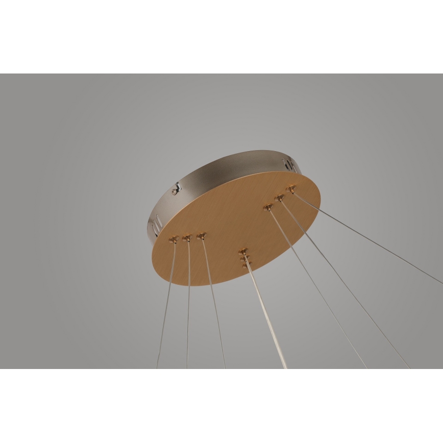Azzardo AZ4429 - LED Pakabinamas sietynas BRIGHTON LED/55W/230V aukso