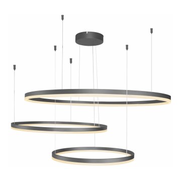 Azzardo AZ4707 - LED pakabinamas šviestuvas ant troselio HALO LED/130W/230V juodas