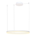 Azzardo AZ4959 - LED Reguliuojamas pakabinamas sietynas HALO LED/56W/230V diametras 80 cm balta