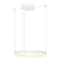 Azzardo AZ4967 - LED reguliuojamas šviestuvas ant laido HALO LED/47W/230V skersmuo 60 cm baltas