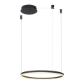 Azzardo AZ4968 - LED reguliuojamas šviestuvas ant laido HALO LED/47W/230V skersmuo 60 cm juodas