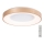 Azzardo AZ4992 - LED reguliuojamas lubų šviestuvas SANTANA LED/50W/230V auksinės spalvos + nuotolinio valdymo pultas