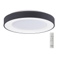 Azzardo AZ4995 - LED reguliuojamas lubų šviestuvas SANTANA LED/80W/230V juodas + nuotolinio valdymo pultas