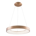 Azzardo AZ5000 - LED šviestuvas ant laido SANTANA LED/30W/230V auksinė