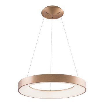Azzardo AZ5000 - LED šviestuvas ant laido SANTANA LED/30W/230V auksinė