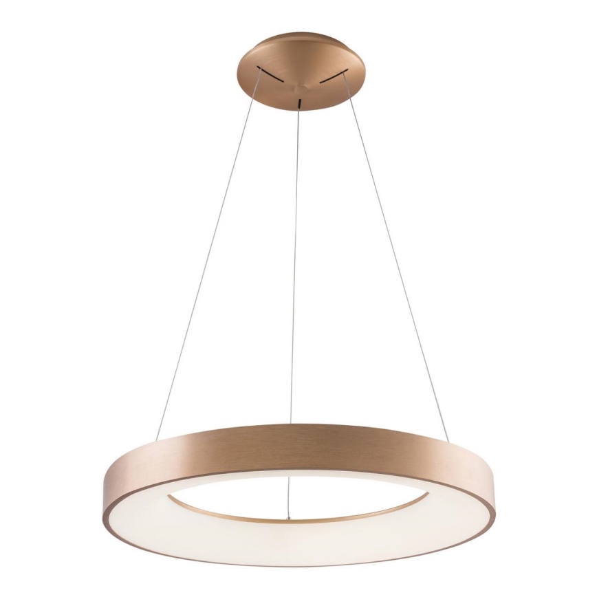Azzardo AZ5000 - LED šviestuvas ant laido SANTANA LED/30W/230V auksinė