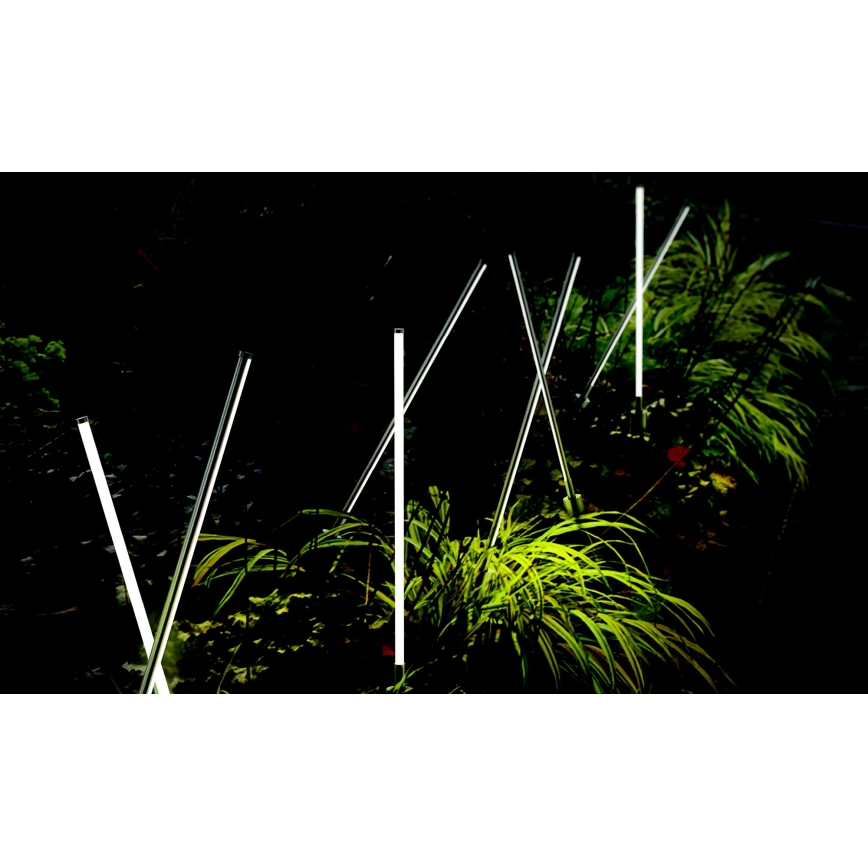 Azzardo AZ5337 - LED lauko šviestuvas FREDO LED/6W/230V IP54 58 cm