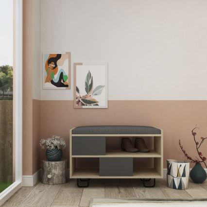Batų dėžė TROY 53x83 cm smėlio/antracito spalvos