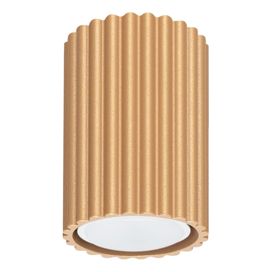 Brilagi - Akcentinis apšvietimas CRESTO 1xGU10/10W/230V 10 cm auksas