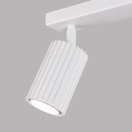 Brilagi - Akcentinis apšvietimas CRESTO 2xGU10/10W/230V balta