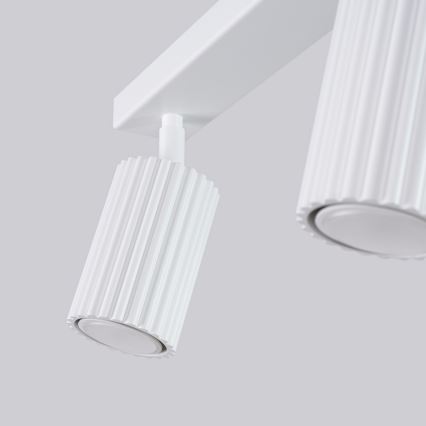 Brilagi - Akcentinis apšvietimas CRESTO 2xGU10/10W/230V balta