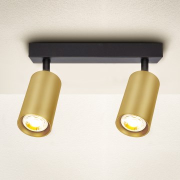 Brilagi - Akcentinis apšvietimas SELE GOLDEN 2xGU10/30W/230V juoda/auksas