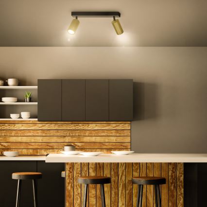 Brilagi - Akcentinis apšvietimas SELE GOLDEN 2xGU10/30W/230V juoda/auksas