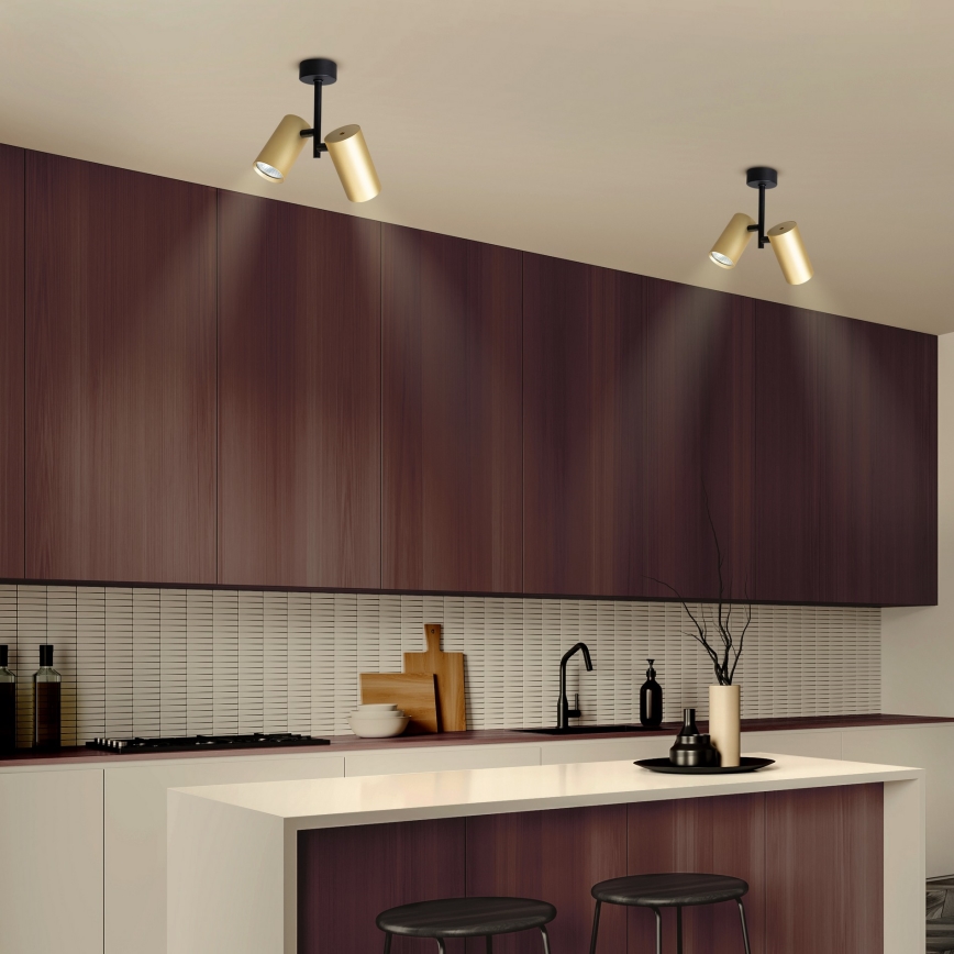 Brilagi - Akcentinis apšvietimas SELE VERTICAL 2xGU10/30W/230V juoda/auksas