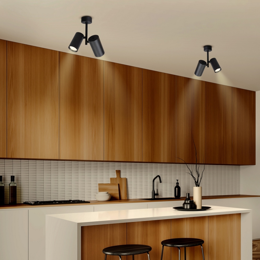 Brilagi - Akcentinis apšvietimas SELE VERTICAL 2xGU10/30W/230V juoda