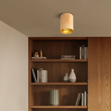 Brilagi - Akcentinis apšvietimas TRINE 1xGU10/30W/230V ąžuolo dekoras