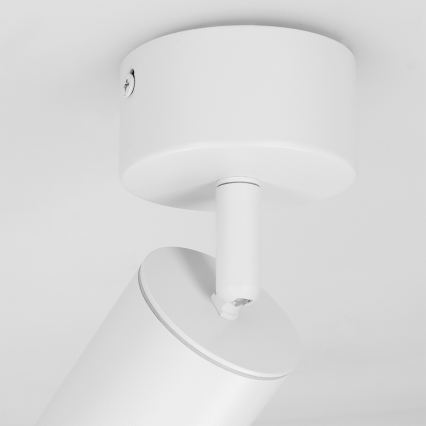 Brilagi - Akcentinis vonios šviestuvas SELE 1xGU10/30W/230V IP44 balta