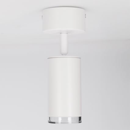 Brilagi - Akcentinis vonios šviestuvas SELE 1xGU10/30W/230V IP44 balta