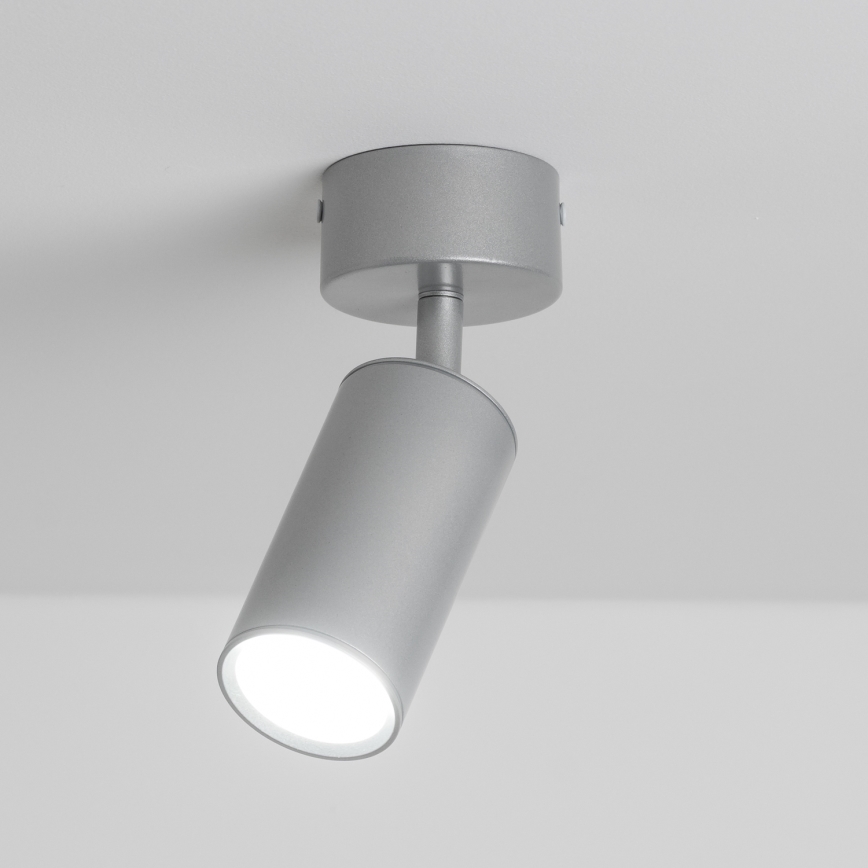 Brilagi - Akcentinis vonios šviestuvas SELE 1xGU10/30W/230V IP44 sidabras