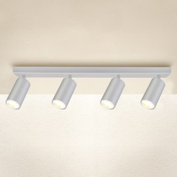 Brilagi - Akcentinis vonios šviestuvas SELE 4xGU10/30W/230V IP44 sidabras