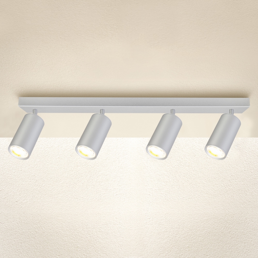 Brilagi - Akcentinis vonios šviestuvas SELE 4xGU10/30W/230V IP44 sidabras