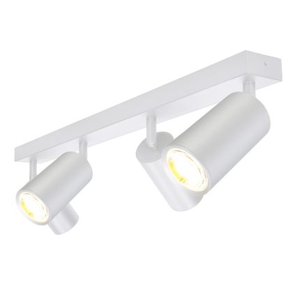 Brilagi - Akcentinis vonios šviestuvas SELE 4xGU10/30W/230V IP44 sidabras