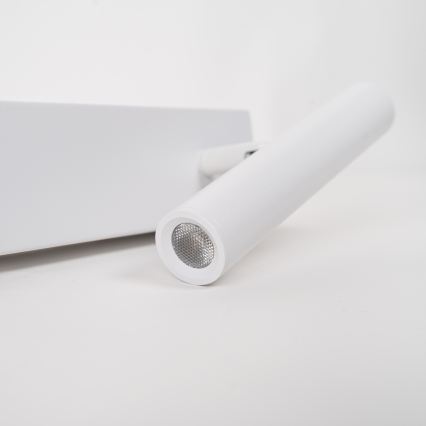 BRILAGI - ARLIX LED sieninis taškinis šviestuvas, LED 3W/230V + LED 7W, baltas, CRI 90