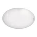BRILAGI - Atsarginis stiklas lubiniam šviestuvui ORBIS, skersmuo 24,5 cm
