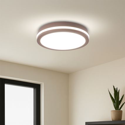 Brilagi - LED lauko šviestuvas su judesio davikliu BENE LED/24W/230V Ø 26 cm rudas IP54