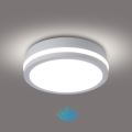 Brilagi - BENE lauko lubinis LED šviestuvas su judesio jutikliu LED/18W/230V, Ø 21,5 cm, baltas, IP54