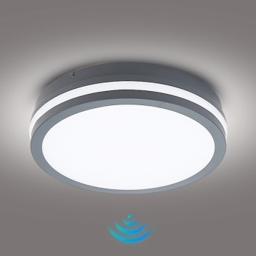 Brilagi - BENE LED lauko šviestuvas su judesio jutikliu LED/24W/230V Ø 26 cm antracitas IP54