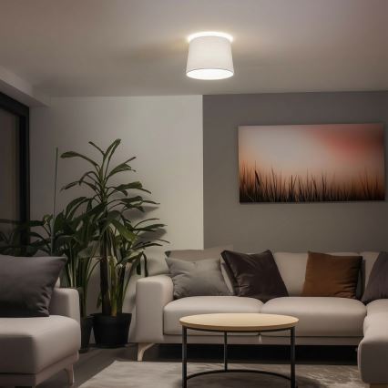 Brilagi - CERIA LED prigludęs lubų šviestuvas 1xE27/40W/230V, skersmuo 30 cm, baltas