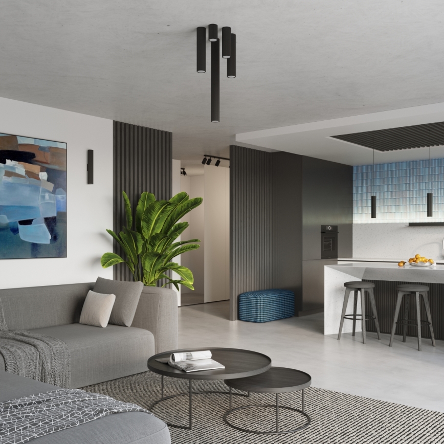 Brilagi - CRESTO LED taškinis šviestuvas 1xGU10/10W/230V 30 cm juodas