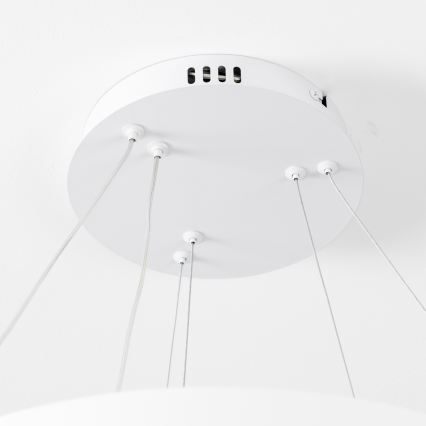 Brilagi - Reguliuojamas LED pakabinamas šviestuvas ant laido FALCON SLIM LED/68W/230V 3000-6500K skersmuo 50 cm balta + nuotolinis valdymas