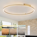 Brilagi - dimeriu reguliuojamas LED lubų šviestuvas PORTOFINO LED/85W/230V 3000-6000K skersmuo 120 cm auksinis + su nuotoliniu valdymu