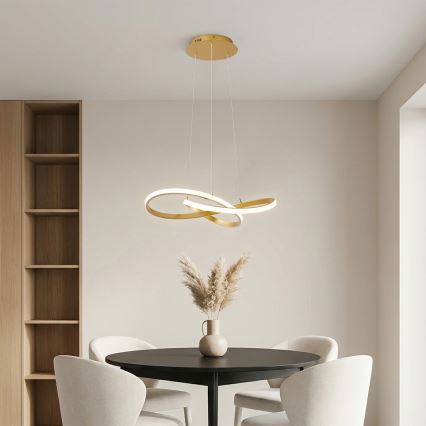 Brilagi - LED dimeriuojama pakabinama liustra ant troselio INFINITY LED/55W/230V 3000-6000K 50x50 cm auksinė + nuotolinis valdymas