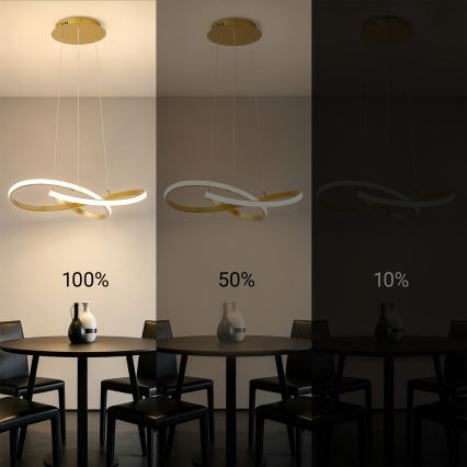 Brilagi - LED dimeriuojama pakabinama liustra ant troselio INFINITY LED/55W/230V 3000-6000K 50x50 cm auksinė + nuotolinis valdymas