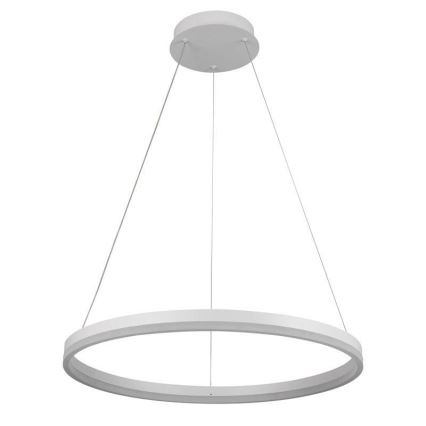 Brilagi - reguliuojamas LED pakabinamas šviestuvas ant laido CIRCLE LED/42W/230V 3000-6500K skersmuo 60 cm + su nuotoliniu valdymu