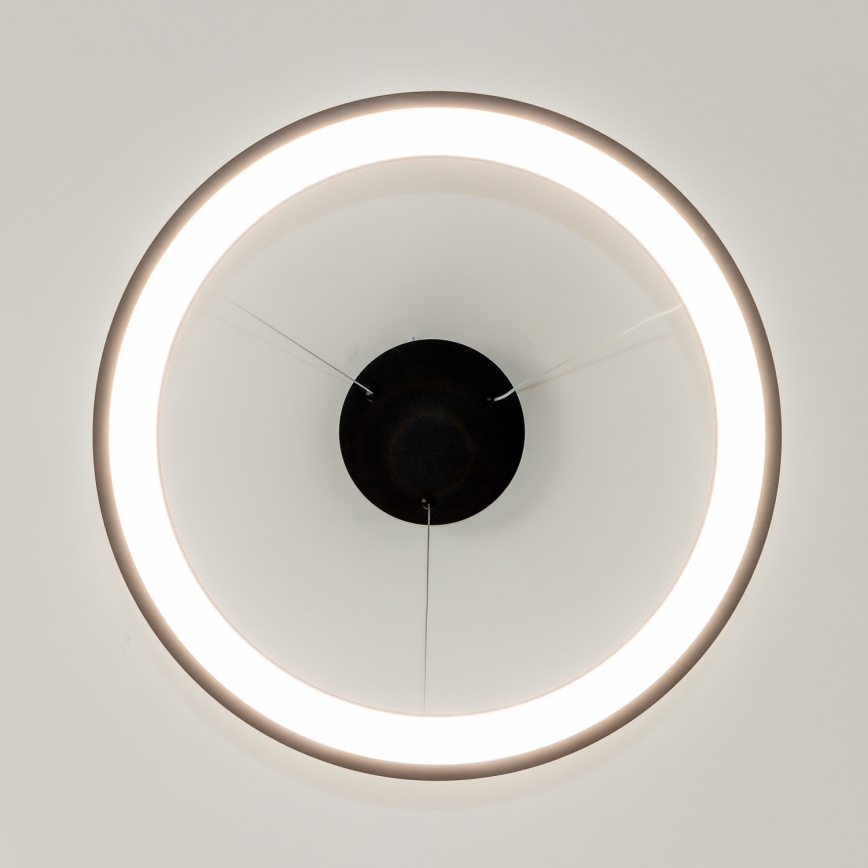 Brilagi - dimeriuojamas LED pakabinamas šviestuvas ant laido FALCON SLIM LED/42W/230V 3000-6500K Ø 50 cm juodas + nuotolinio valdymo pultas